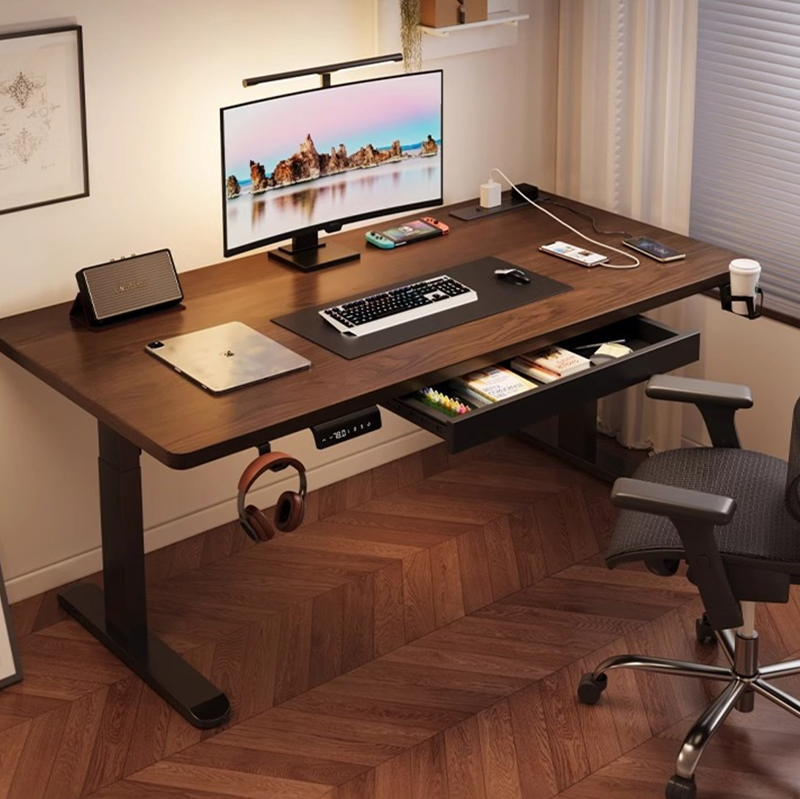 현대식 철제 듀얼 모터 전동 스탠딩 데스크, 높이 조절 - Setup Desk Monitor 리뷰 및 가격